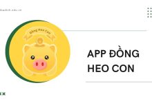 App Đồng Heo Con