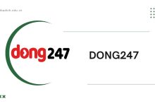 Dong247