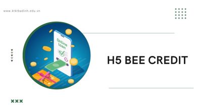 H5 Bee Credit